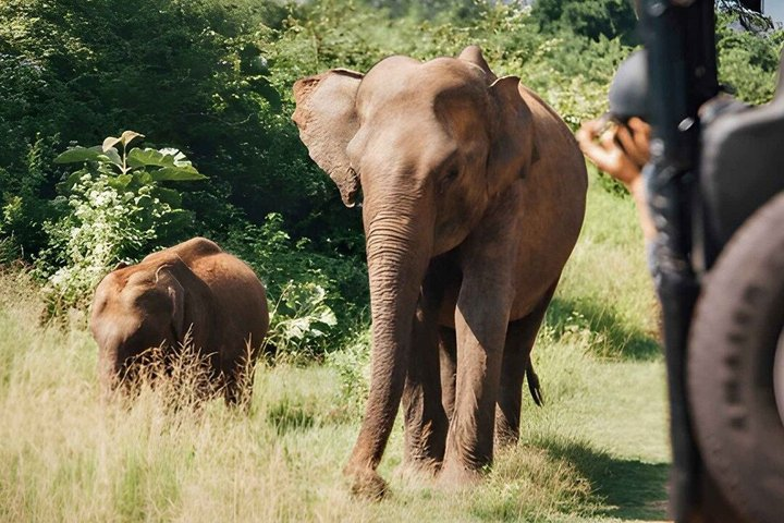 Hurulu Eco Park Private Safari - Photo 1 of 9